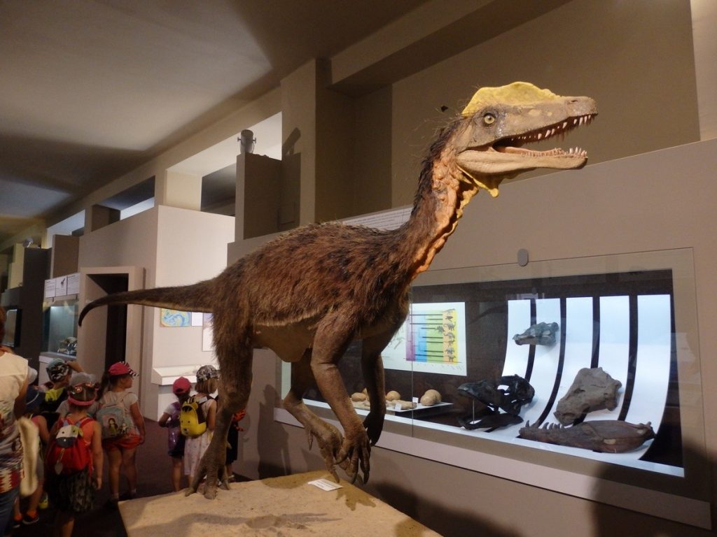 coeulosaurus-dinosaurus-druhohory-muzeum-historia