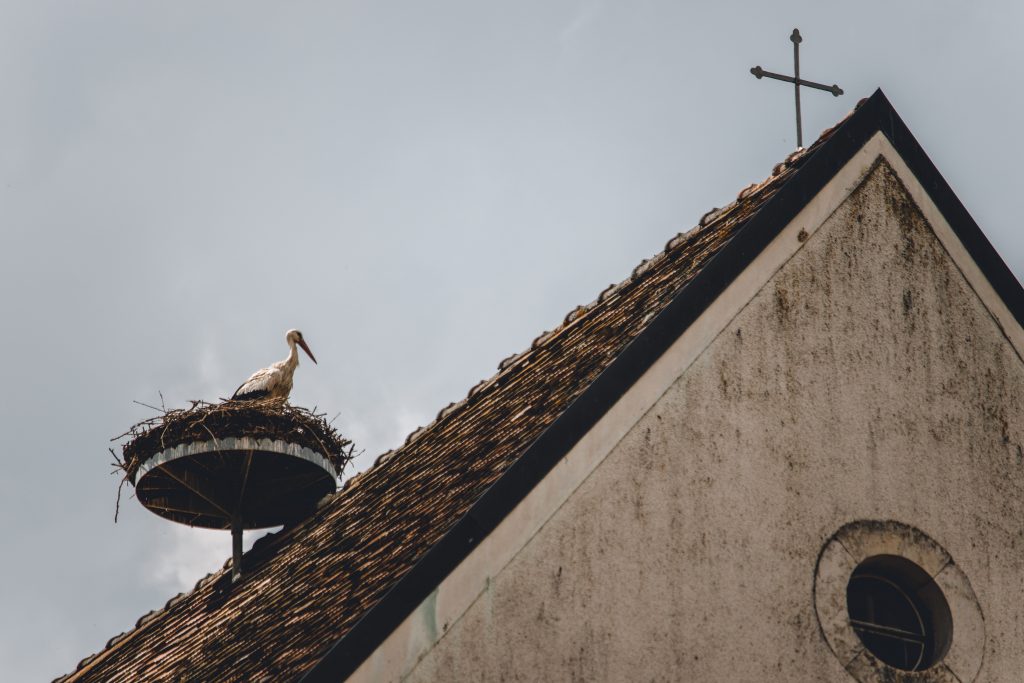 strecha-bocian-kostol-hniezdo-bocianopolis